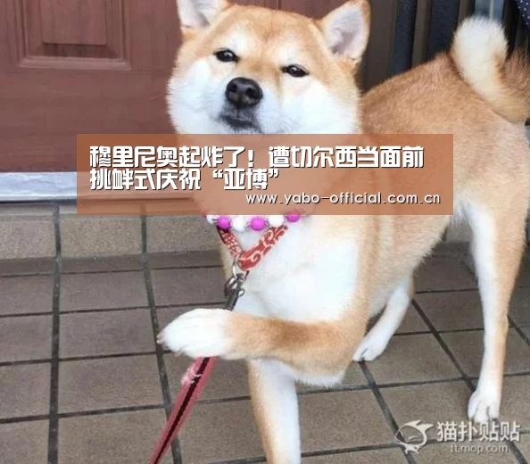 穆里尼奥起炸了!遭切尔西当面前挑衅式庆祝“亚博”(图3) 亚博网站