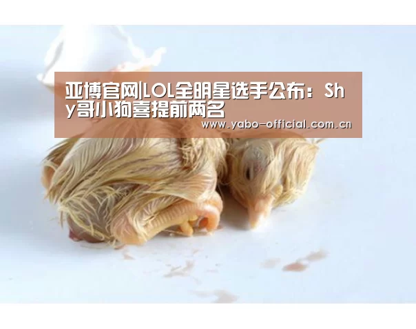 亚博官网|LOL全明星选手公布:Shy哥小狗喜提前两名(图4) 亚博