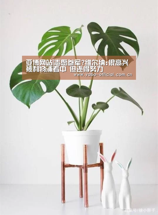 亚博网站|志愿参军?维尔纳:很高兴被利物浦看中 但还得努力(图4) 亚博平台