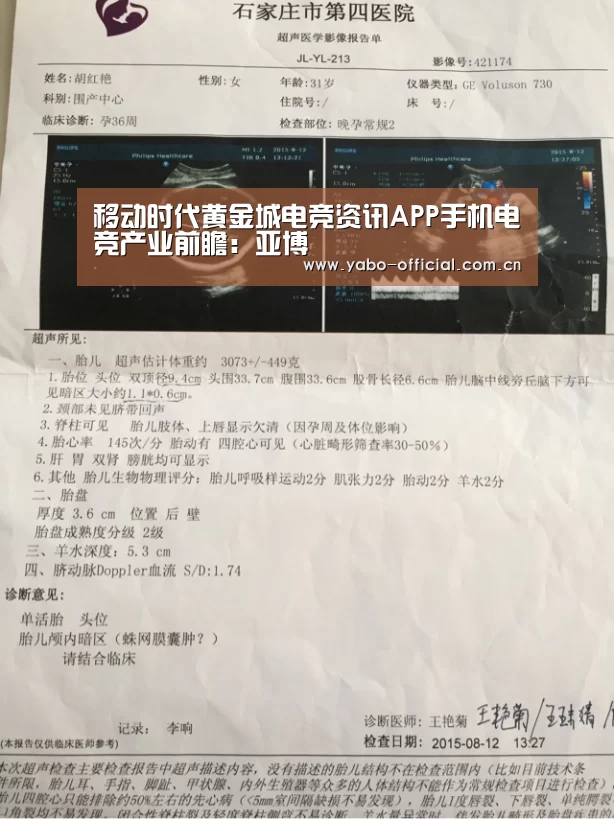 移动时代黄金城电竞资讯APP手机电竞产业前瞻：亚博