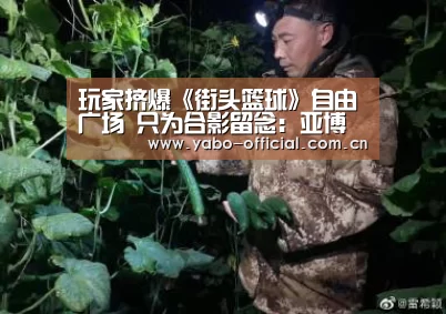 玩家挤爆《街头篮球》自由广场 只为合影留念:亚博网站(图3) 亚博官网