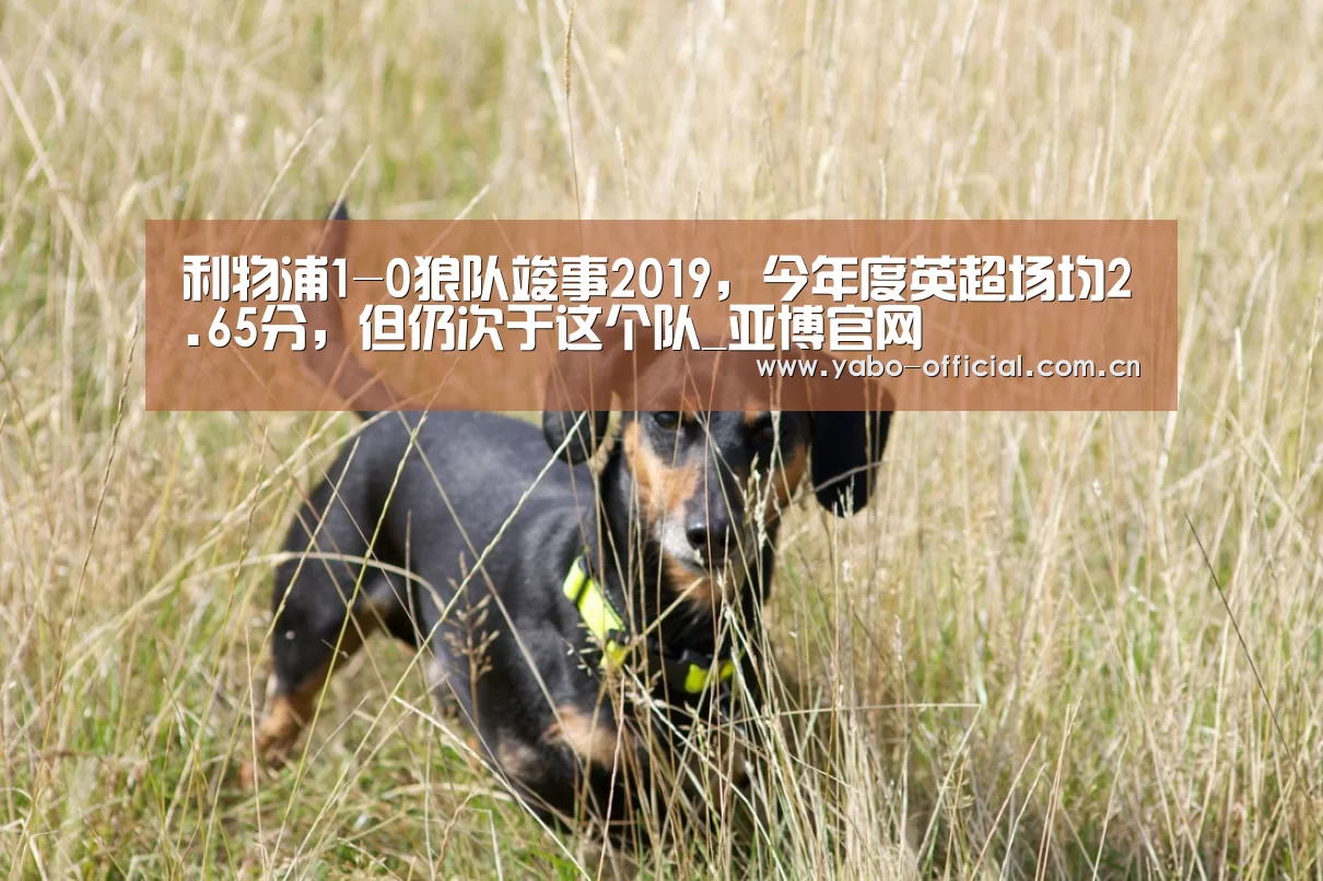 利物浦1-0狼队竣事2019，今年度英超场均2.65分，但仍