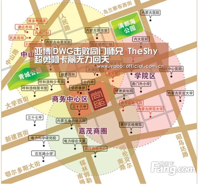 亚博|DWG击败同门师兄 TheShy超勇阿卡丽无力回天